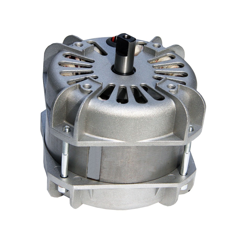 電動(dòng)門(mén)專(zhuān)用電機(jī)
